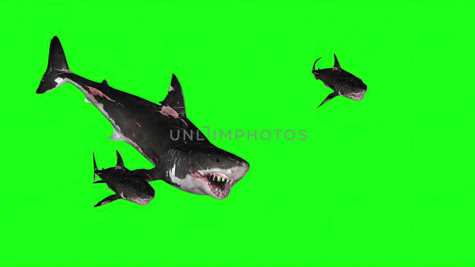 3d illustration - Sharks on a Green background by vitanovski