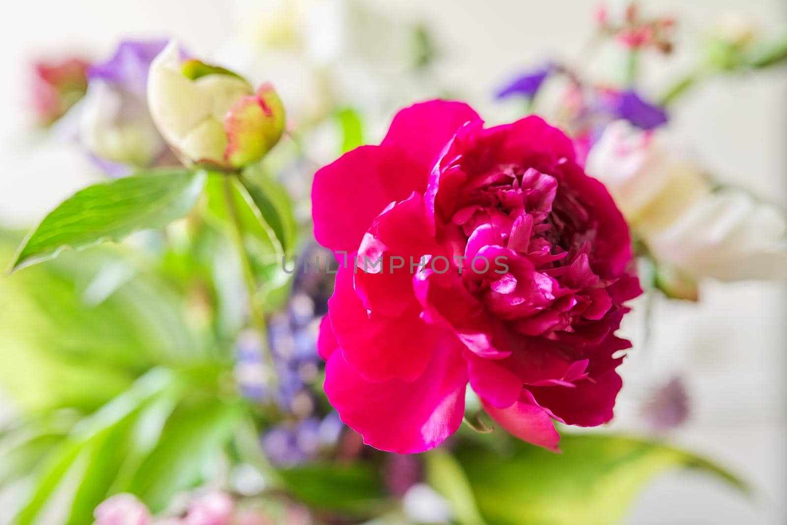 Abstract multicolored floral background texture, close-up flowers and buds peonies irises lupine in defocus, season spring summer, natural beauty, background image