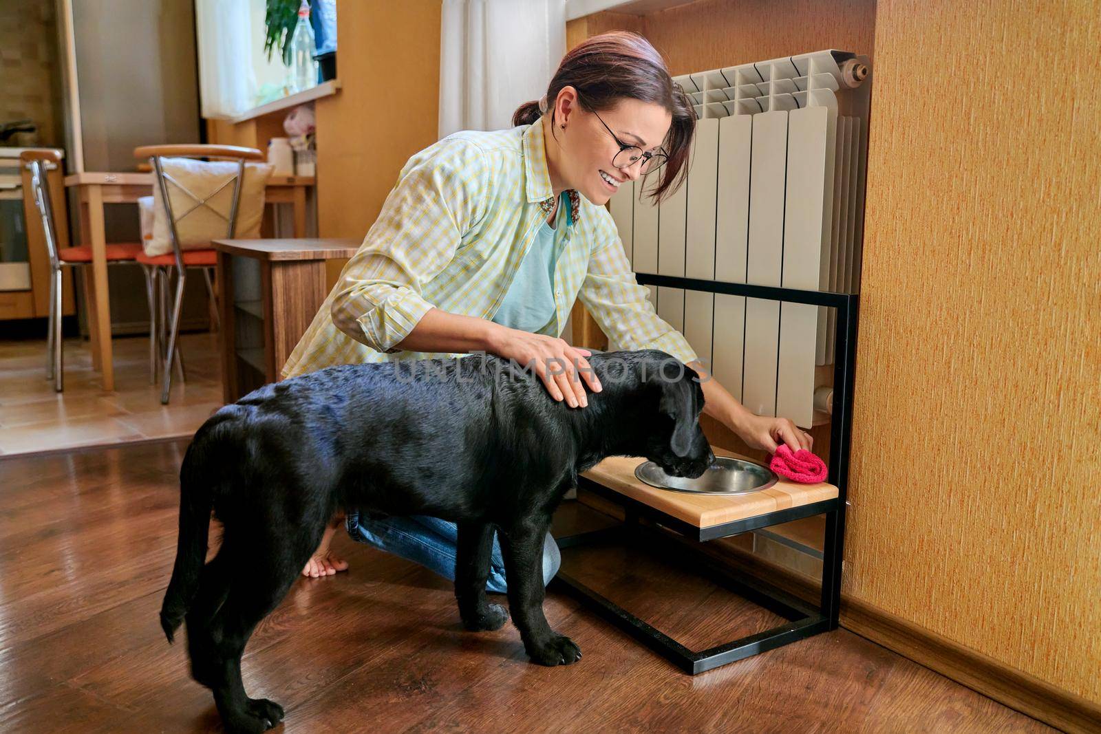 Middle aged woman and pet dog at home in kitchen interior. Pet owner cleaning near food bowls, black labrador puppy 4 months old. Lifestyle, love, pets, 40s people concept