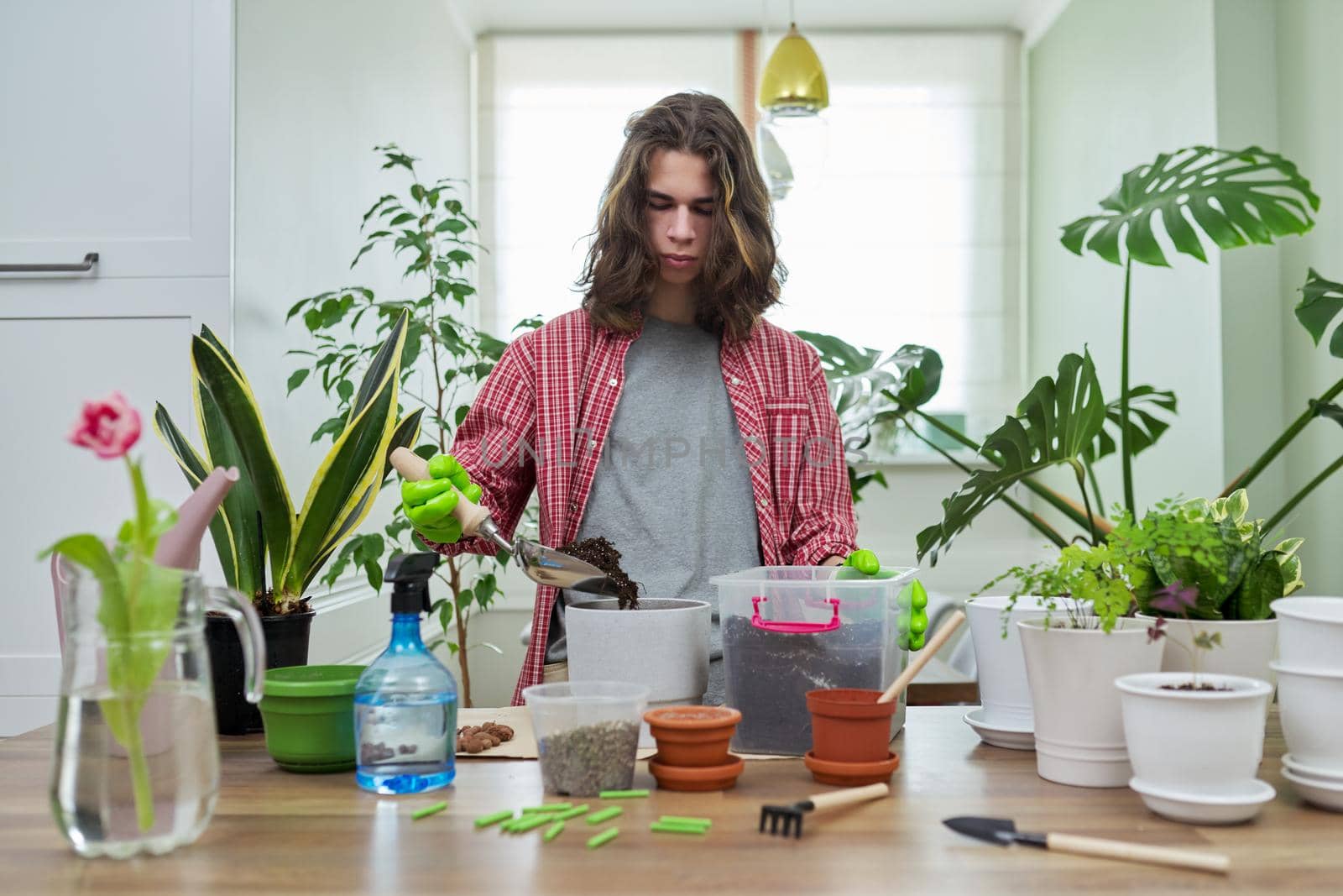Guy teenager caring replanting indoor plants in pots. On the table are soil, pots, plants, fertilizers, watering can. Floristry hobby of young teen boy