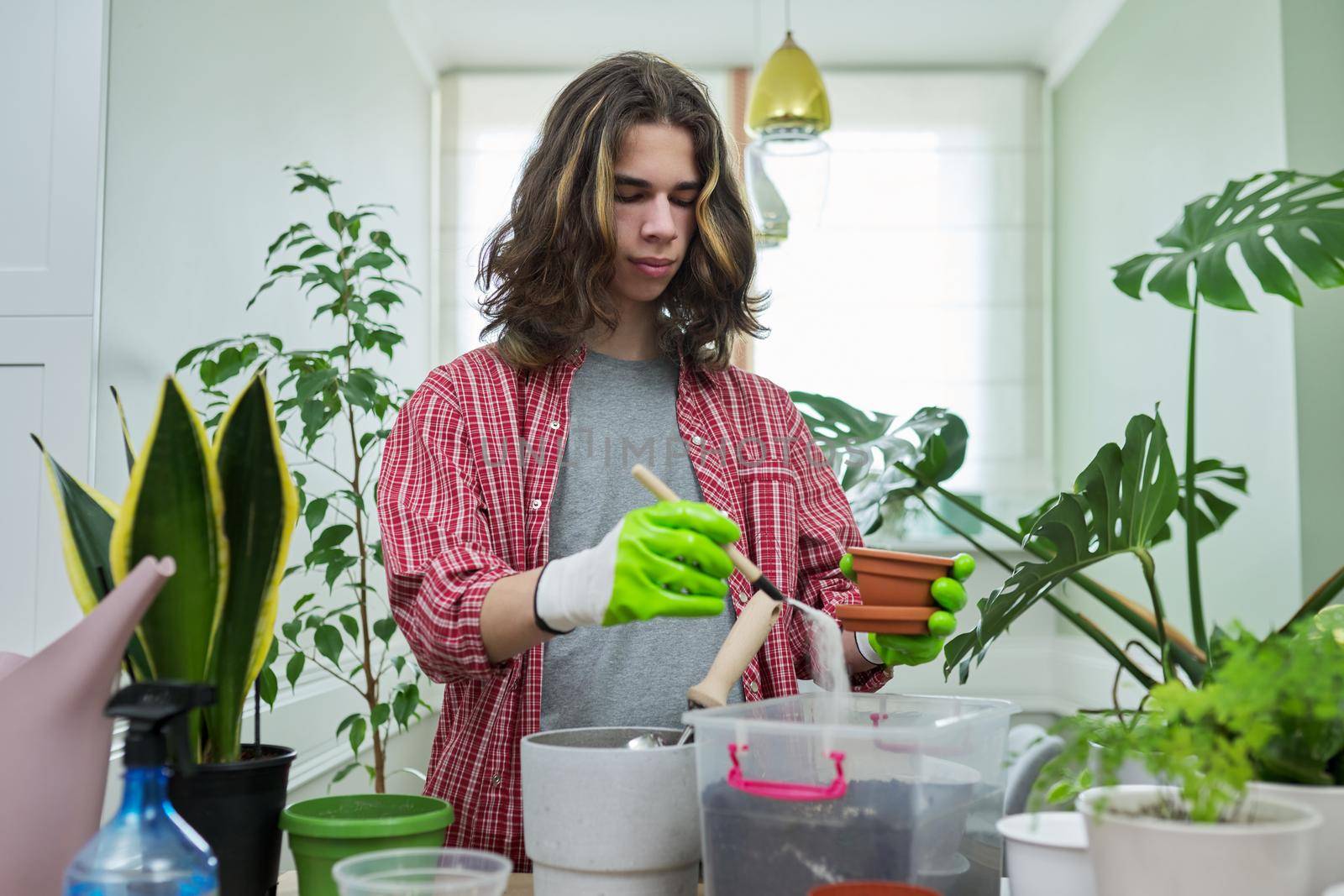 Teenage guy transplanting houseplants, preparing the soil with perlite vermiculite. Hobbies, leisure, green trends, ecology gardening at home, garden inside