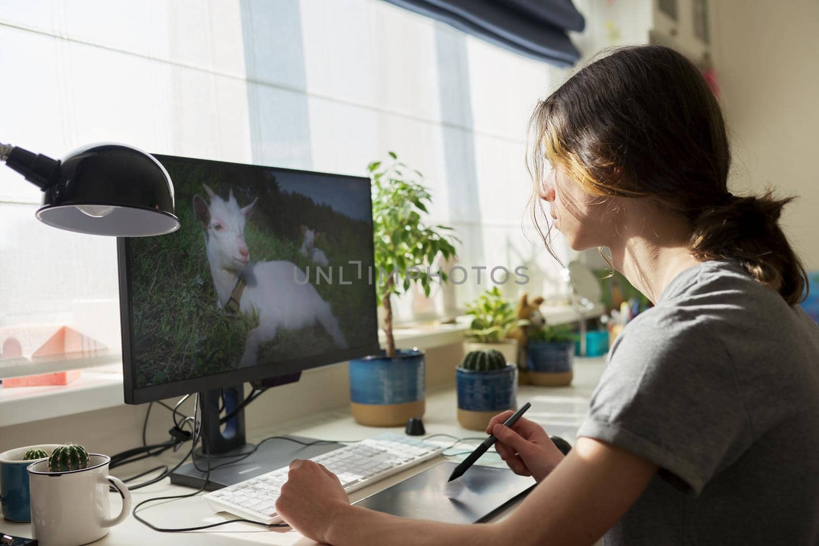 Teen guy at home working on computer, using graphics tablet to work with images by VH-studio