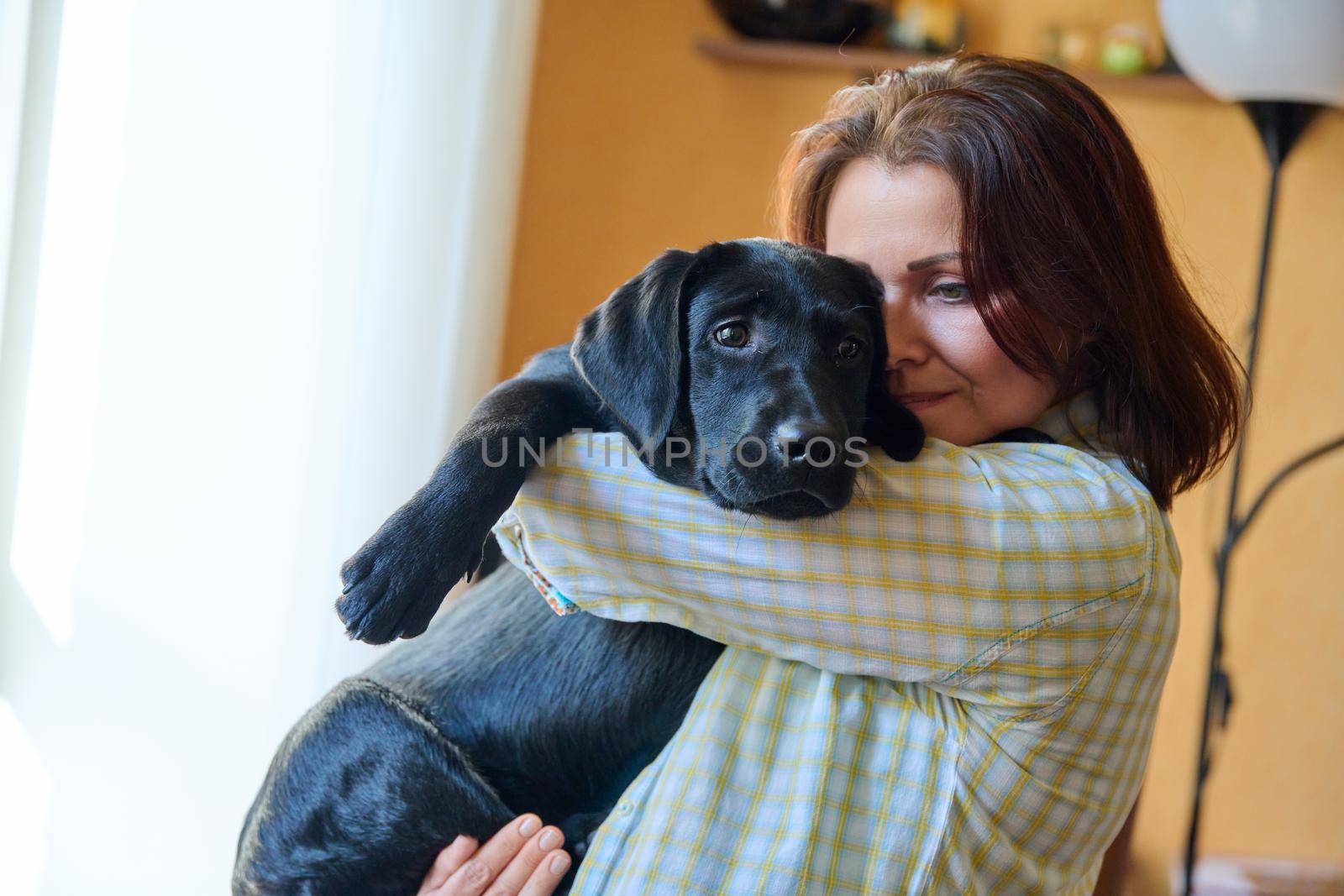 Portrait of middle aged woman and black labrador puppy dog. The owner holding young pet in her arms, in home interior. Lifestyle, love, pets, 40s people concept