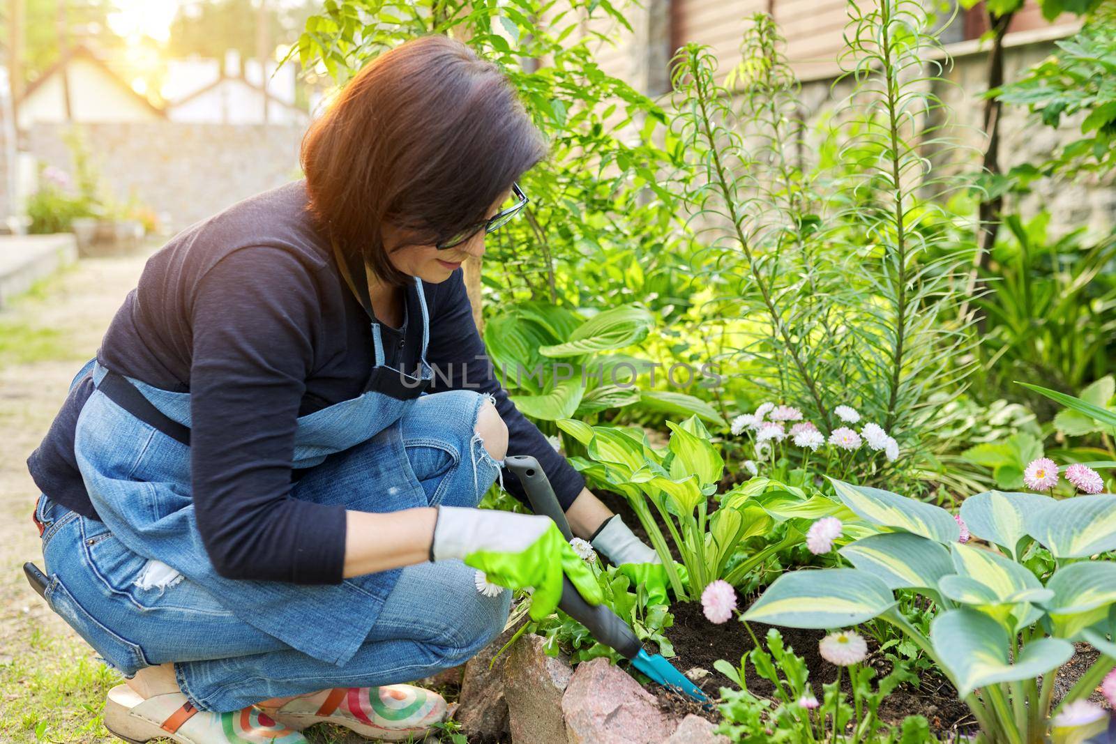 Gardening, flower beds, female gardener working with plants in garden by VH-studio