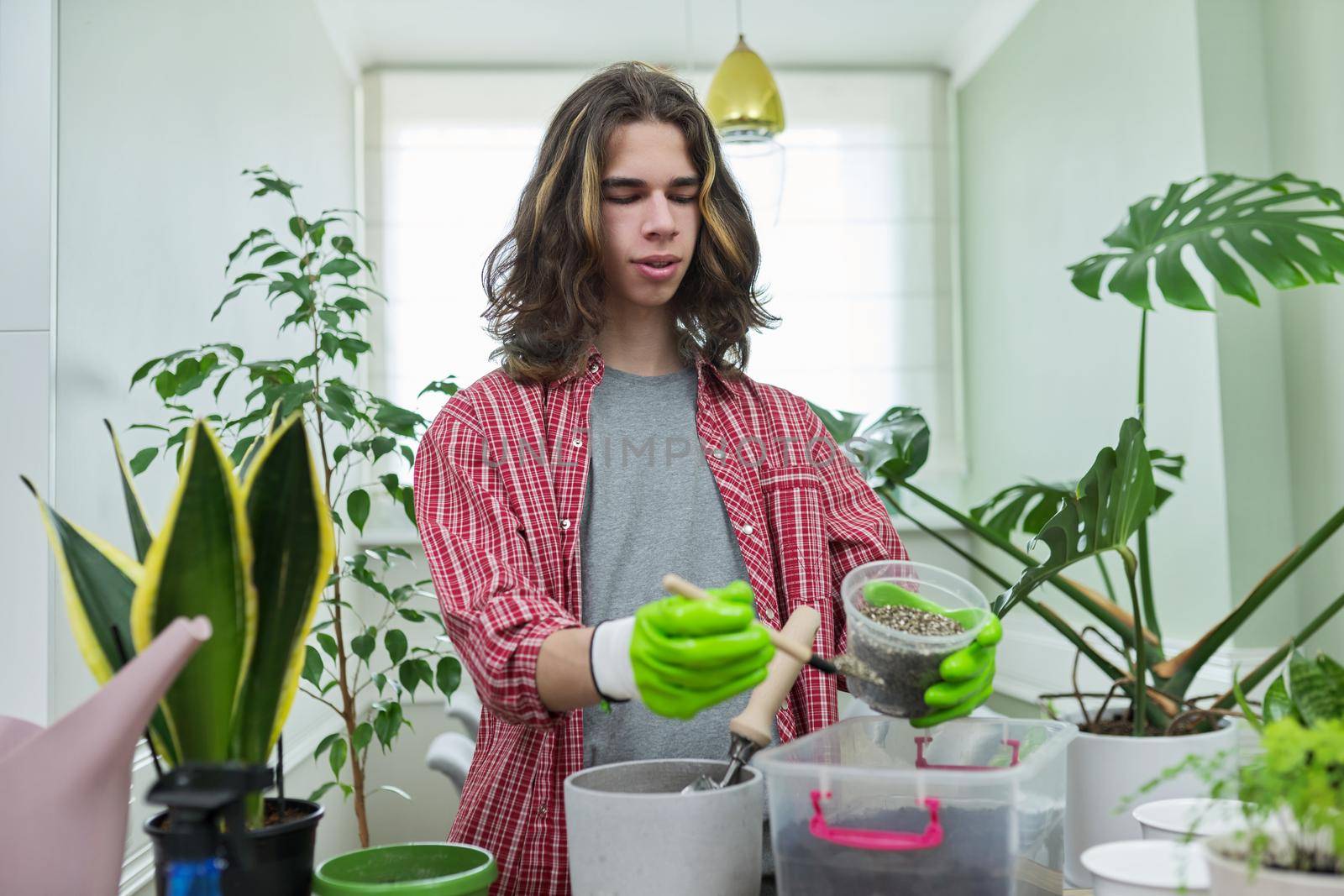 Teenage guy transplanting houseplants, preparing the soil with perlite vermiculite. Hobbies, leisure, green trends, ecology gardening at home, garden inside