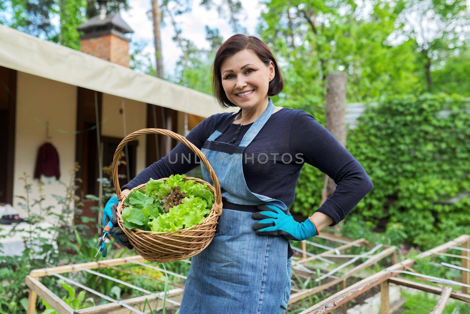 Smiling woman holding basket with freshly harvested lettuce leaves and arugula. Growing natural organic healthy food, herbs, vitamins. Garden, hobbies, leisure, gardening