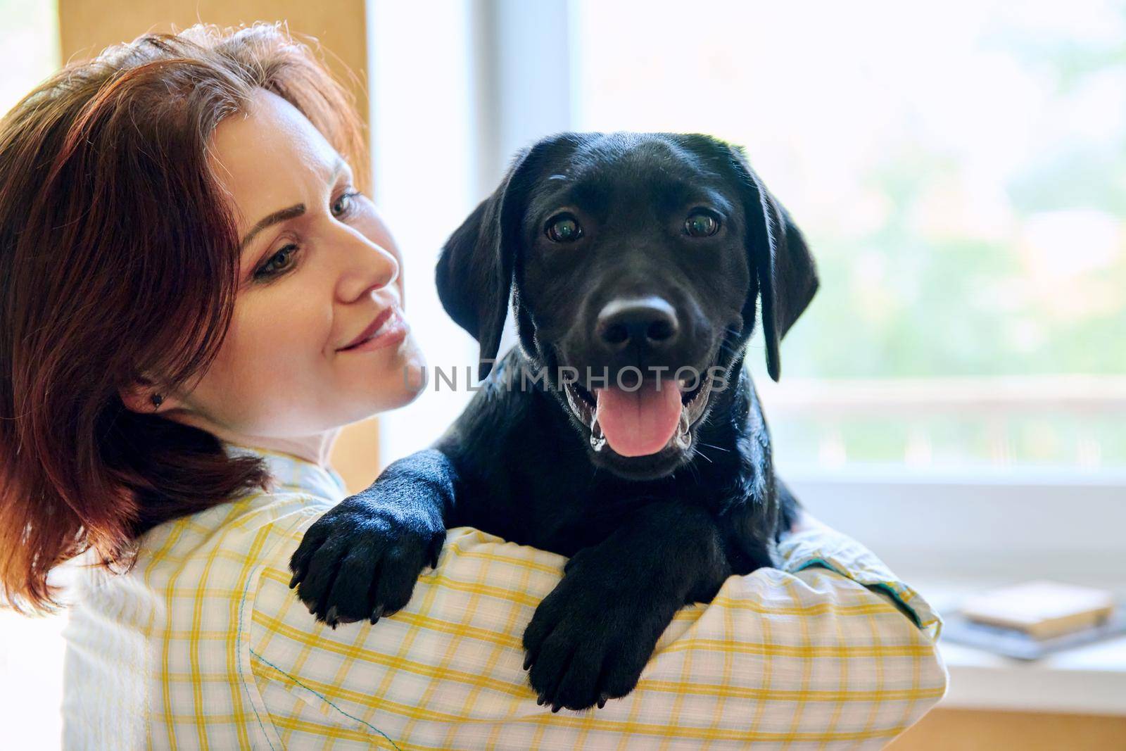 Portrait of middle aged woman and black labrador puppy dog. The owner holding young pet in her arms, in home interior. Lifestyle, love, pets, 40s people concept