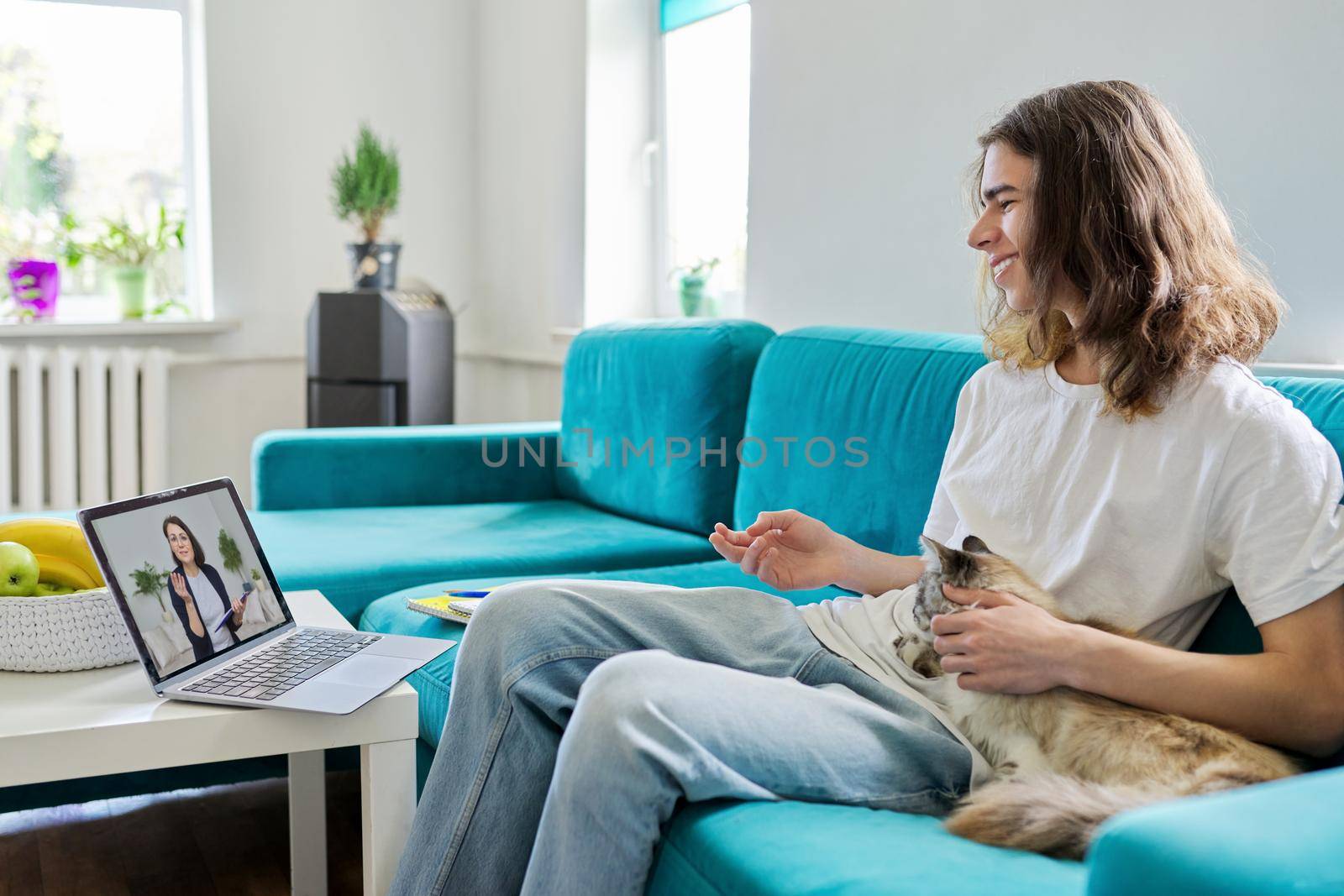 Guy talking online with teacher, psychologist, social worker. Teenager sitting at home with pet cat, using video call on laptop, virtual meeting with counselor. Technology, adolescence, mental health