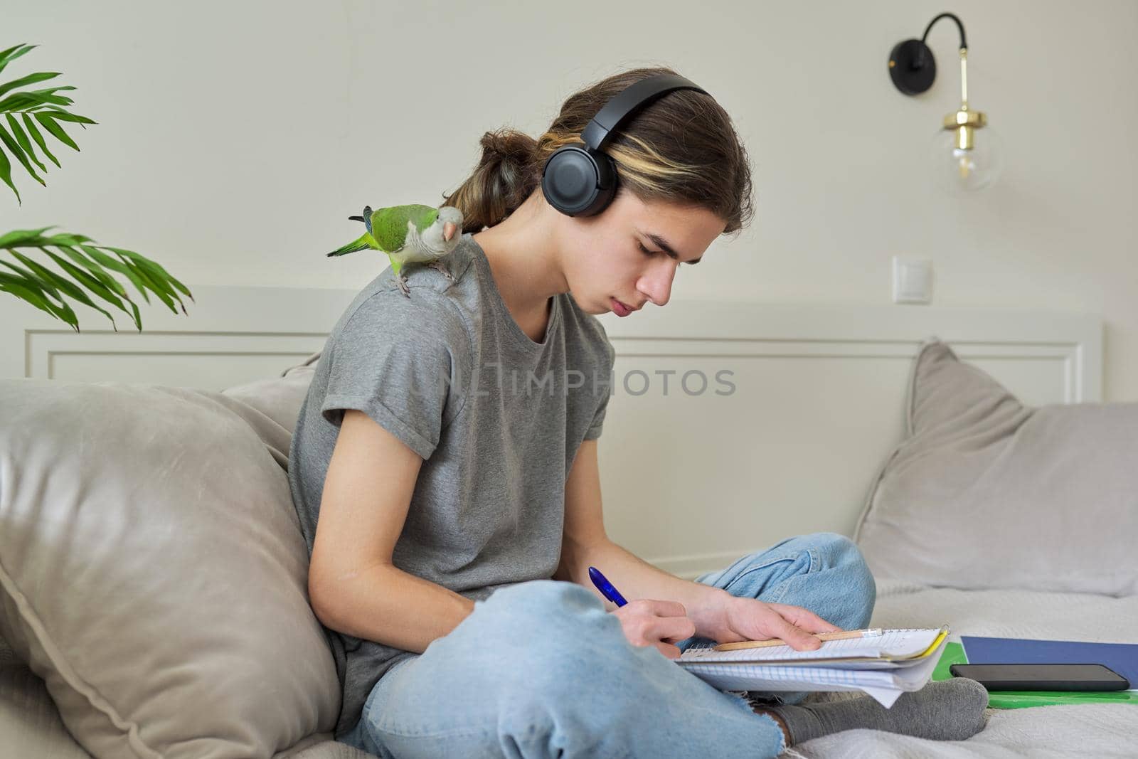 Male teenager with pet parrot, guy student sitting in headphones at home by VH-studio