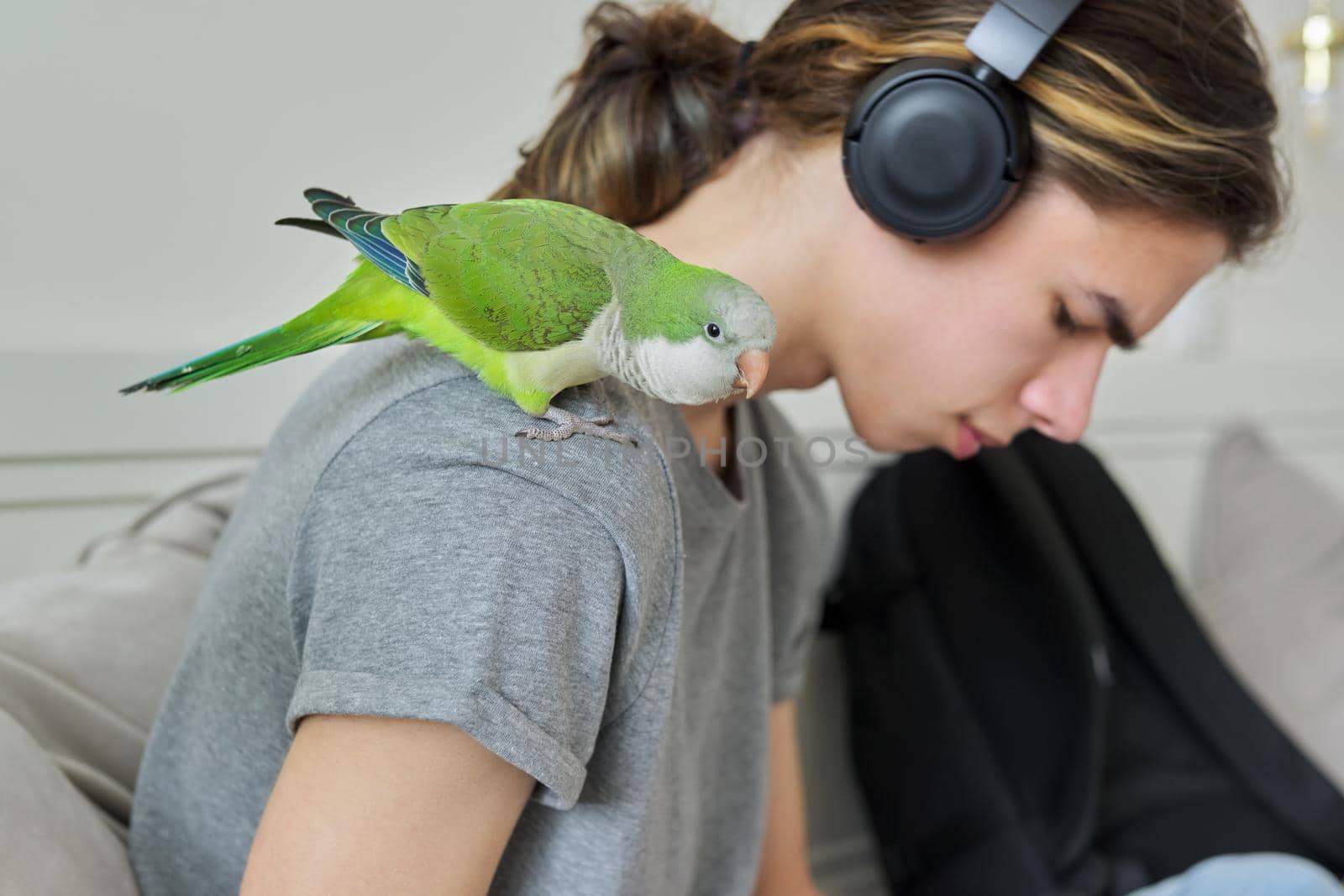 Pet green quaker parrot on the shoulder of the owner of a male teenager. Domestic lifestyle, bird-human friendship