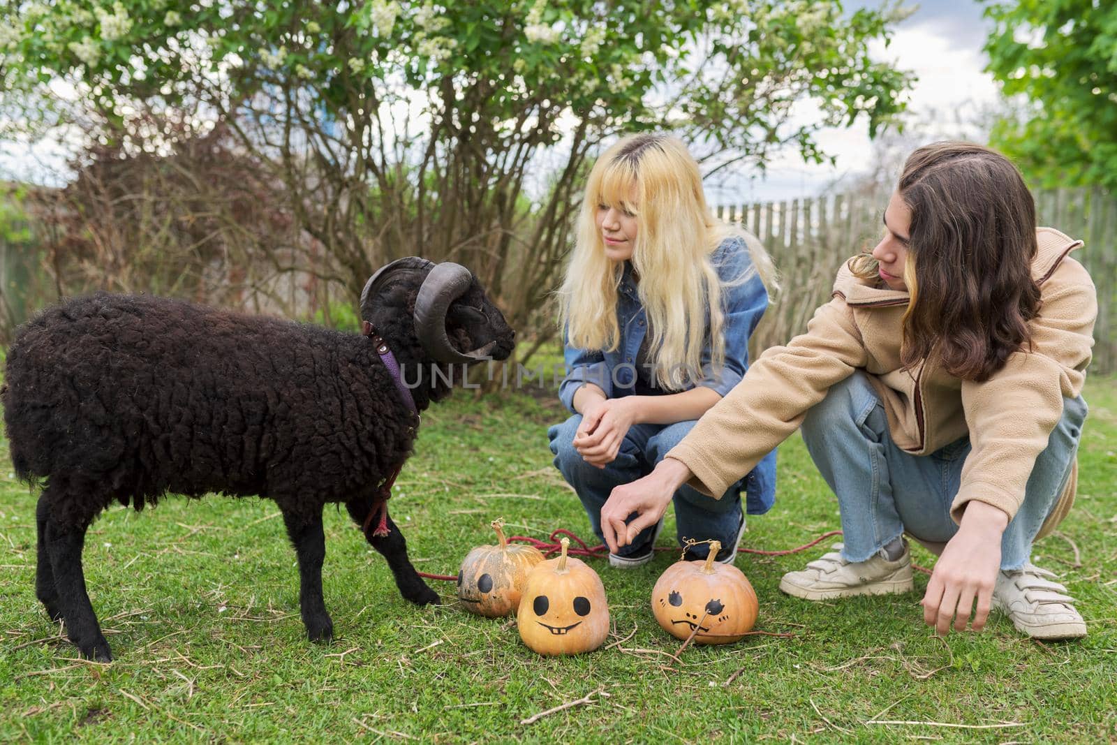 Teenage teenagers and black domestic ram with halloween pumpkins on grass by VH-studio