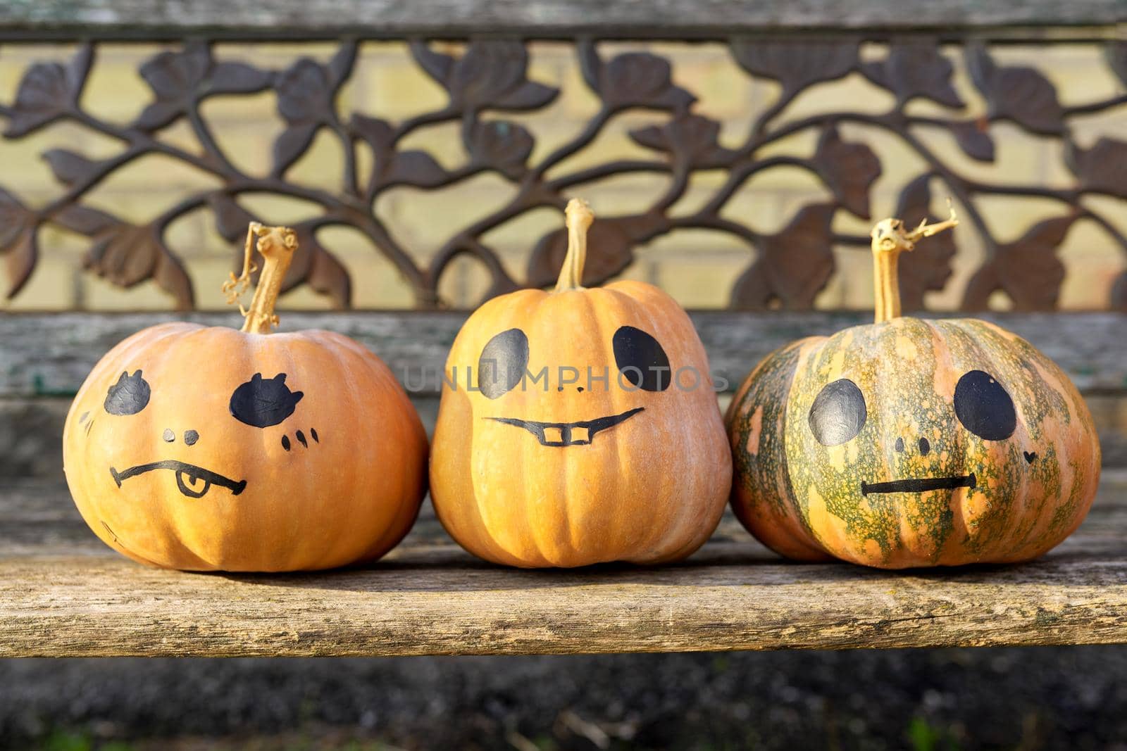 Halloween three pumpkins outdoor, nobody, on wooden old bench by VH-studio