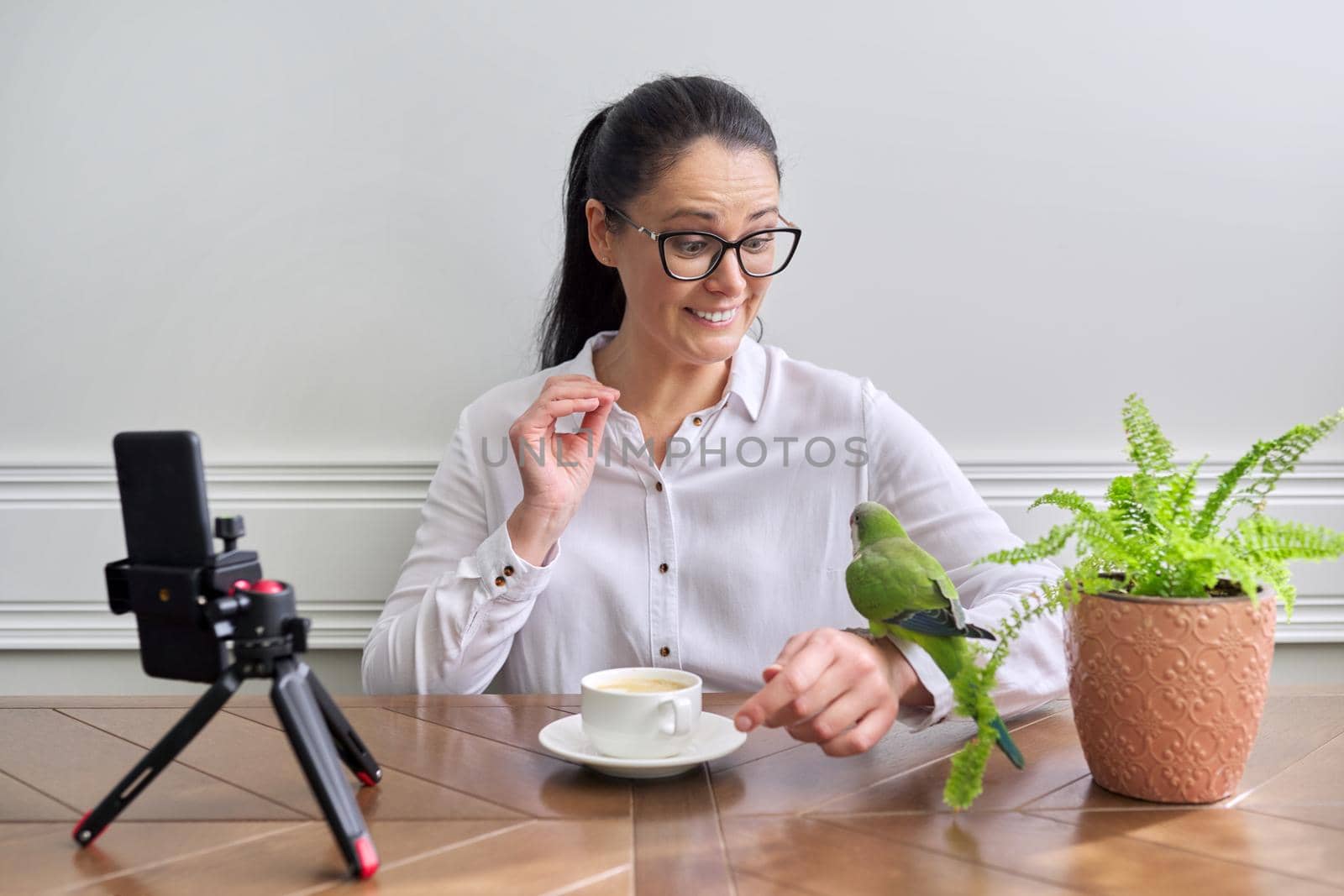 Woman recording video stream on smartphone playing with pet green quaker parrot, female ornithologist blogger vlogger talking to bird talking about parrot grooming lifestyle and nutrition