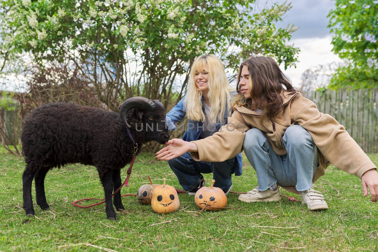 Teenage teenagers and black domestic ram with halloween pumpkins on grass by VH-studio