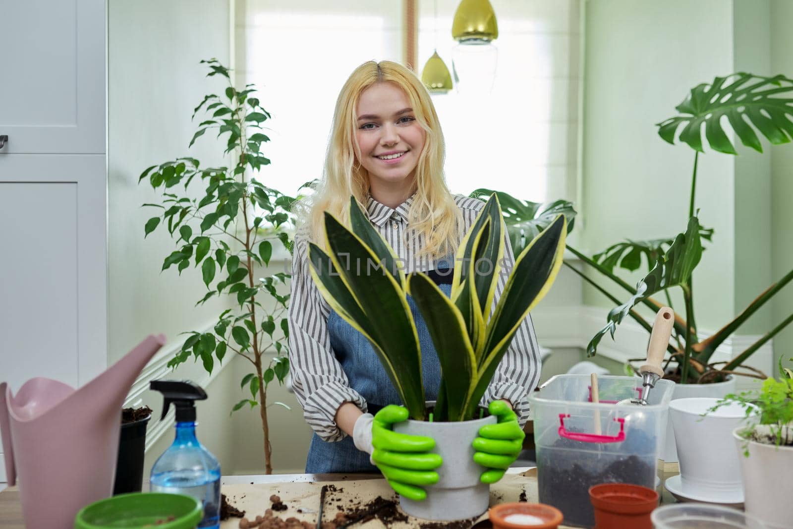 Portrait of a female teenager with a houseplant sansevieria in her hands. Hobbies, leisure, caring for green pets, eco trends, gardening at home, garden inside