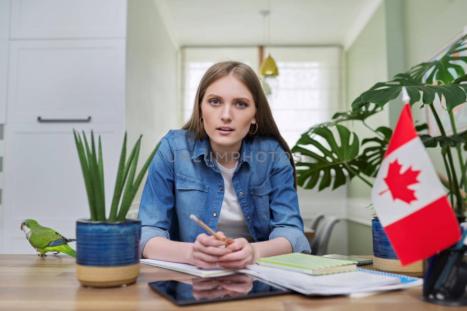 Canada, education, study, students concept. Online training, distance lessons, e-learning, female teenager university student sitting at home looking at webcam, close-up face, Canadian flag on table