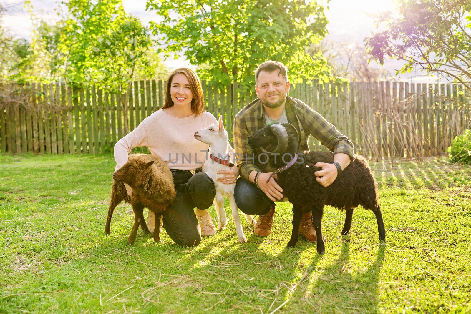 Small farm with ouessant sheep and goat, portrait of family couple of farm owners with animals, eco tourism, countryside, rural scene, domestic animals