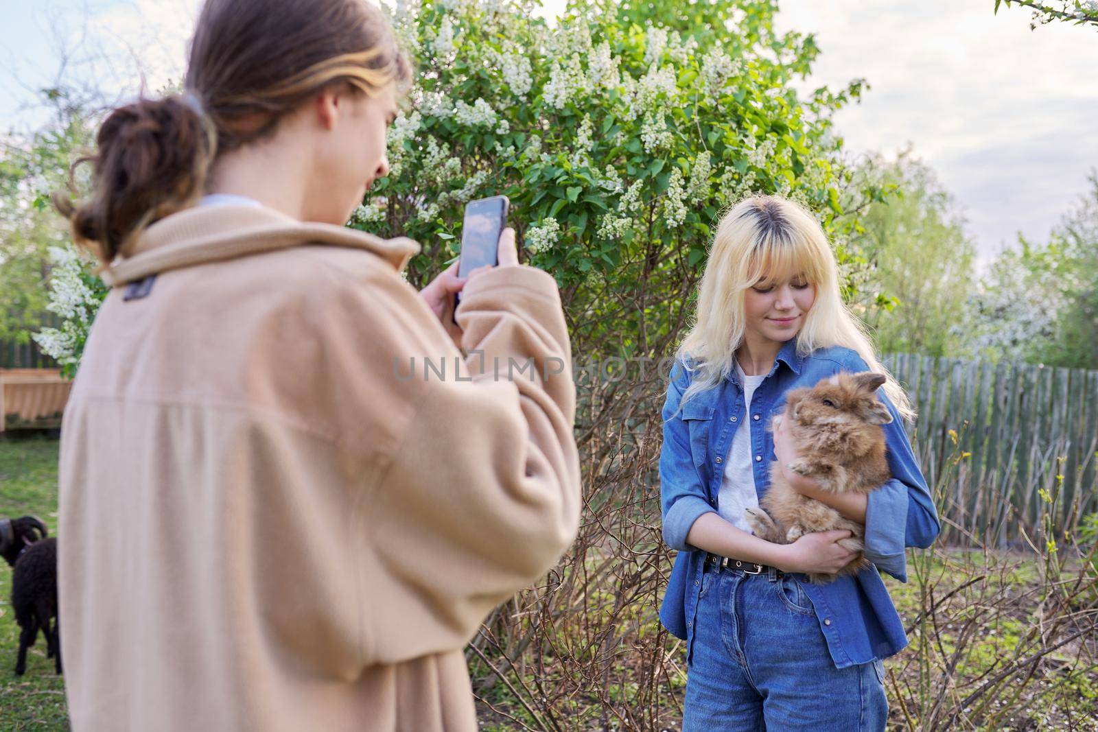 The guy is teenager photographing girlfriend with decorative rabbit in his arms by VH-studio