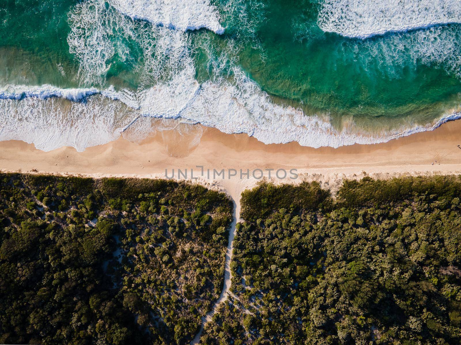 Aerial photo of a beach and trees in Ulladulla, NSW, Australia by braydenstanfordphoto
