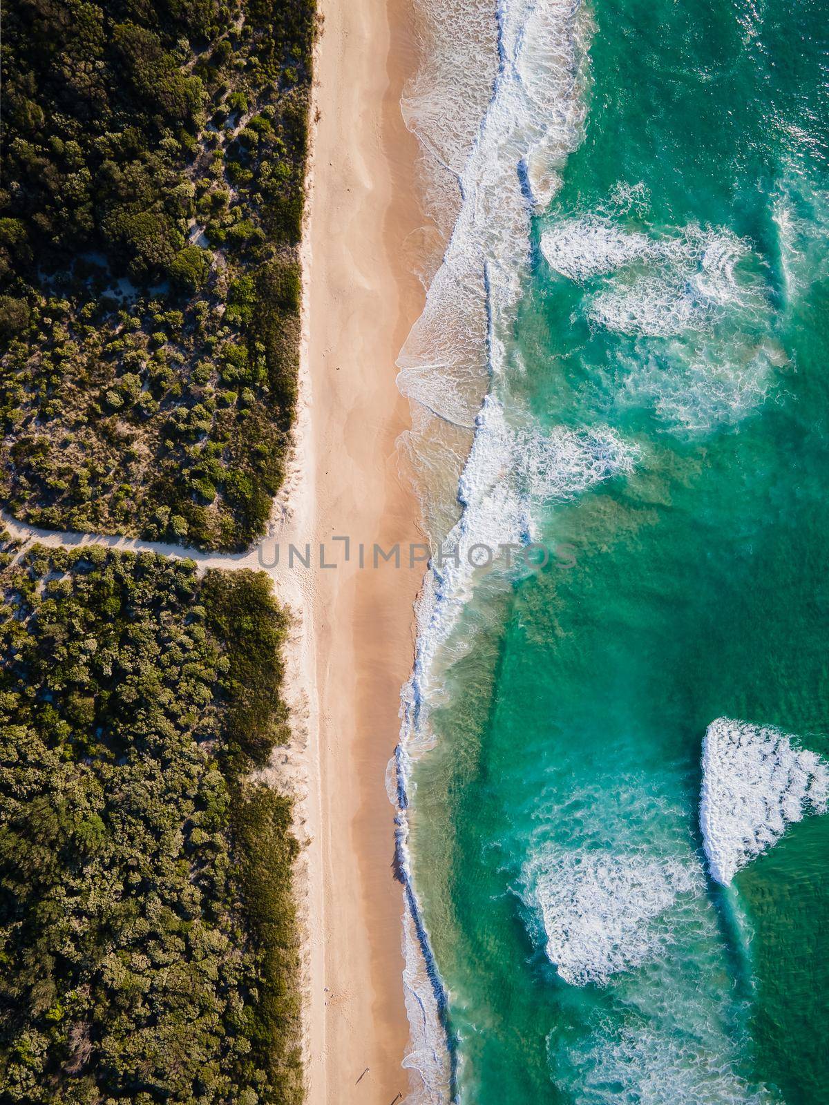Aerial photo of a beach and trees in Ulladulla, NSW, Australia by braydenstanfordphoto