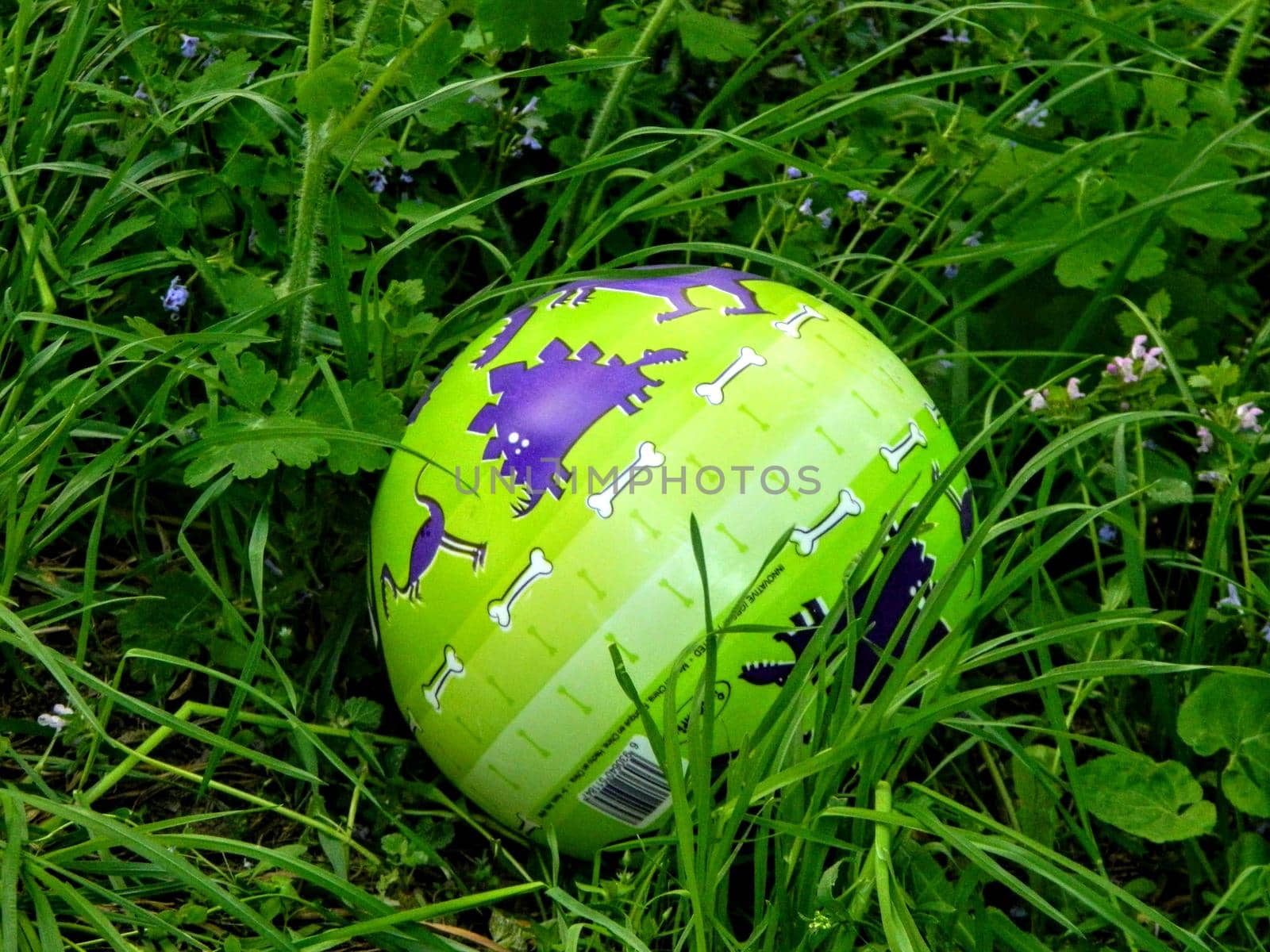 Ball whit dino on grass symbol of green eco environment. High quality photo