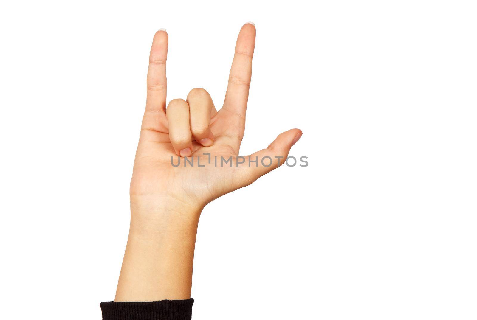 american sign language. female hand showing i love you. isolated on white background
