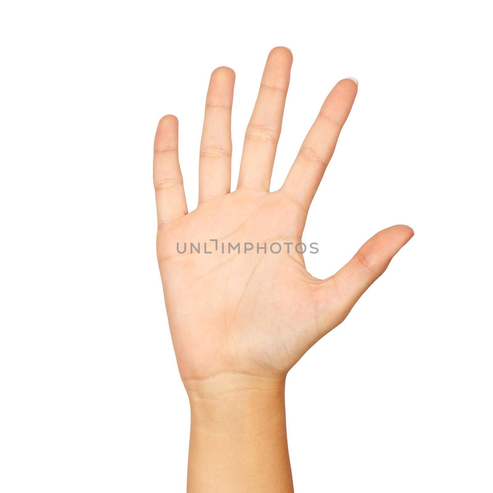 american sign language number 5. female hand gesturing isolated on white background