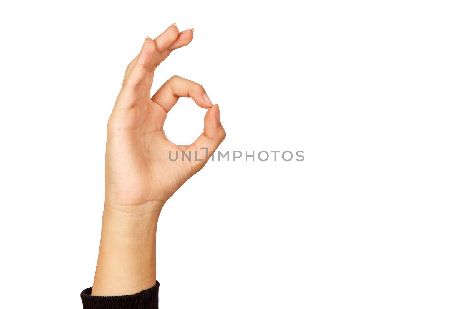 american sign language. female hand showing all ok. isolated on white background