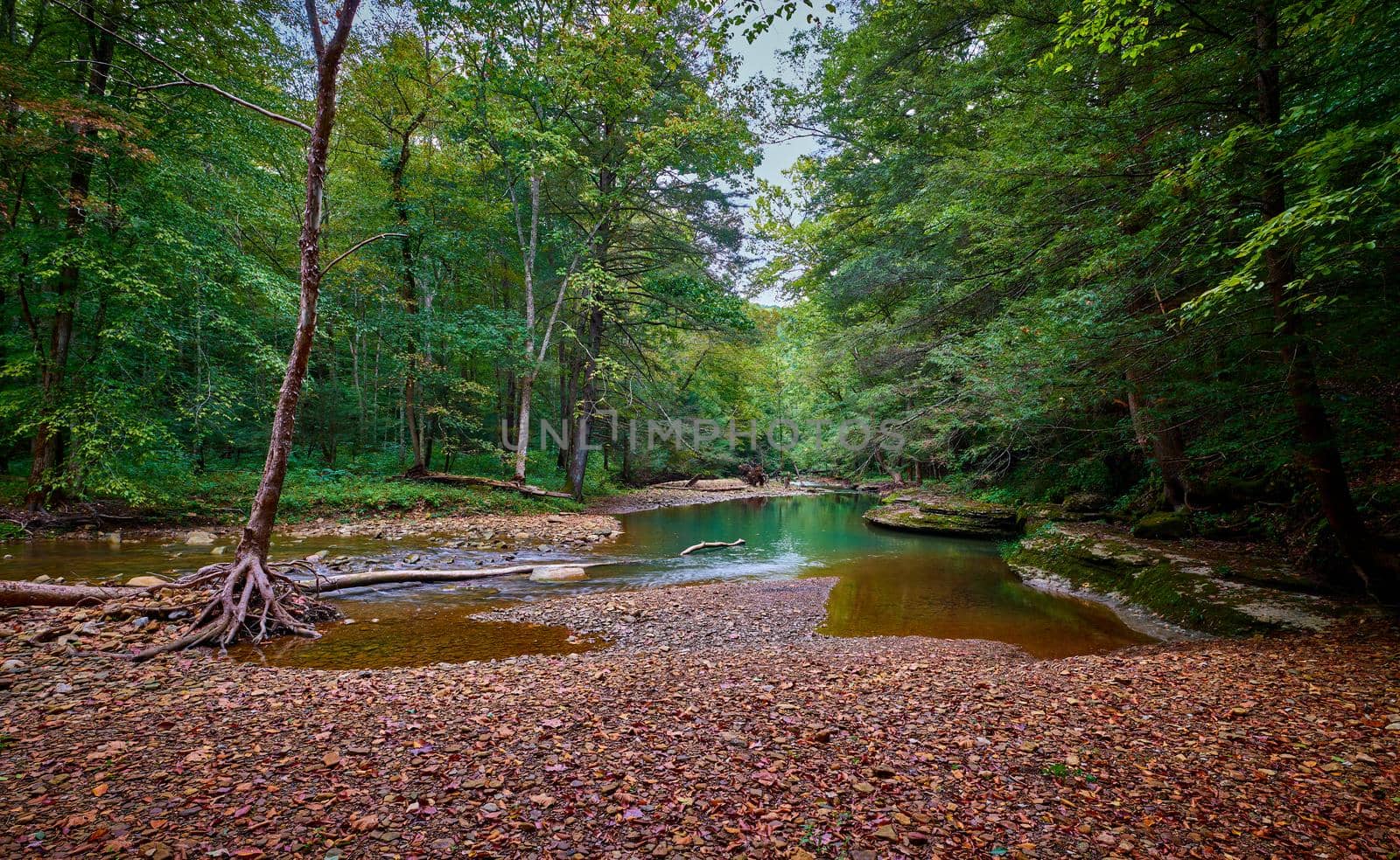 War Fork Creek located near Turkey Foot Campground in Jackson County, KY. by patrickstock