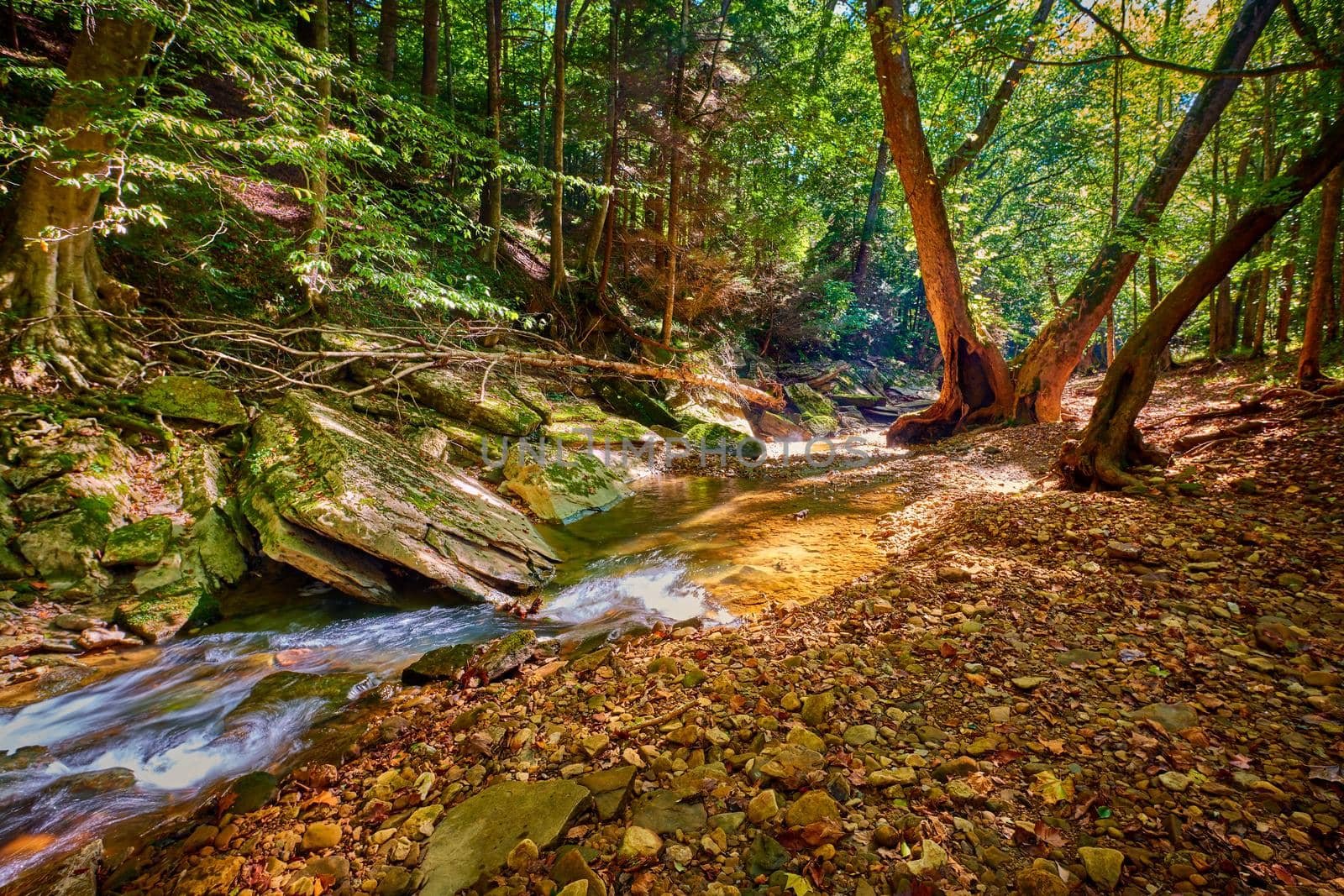 Large rocks and trees along War Fork Creek in Jackson County, KY.