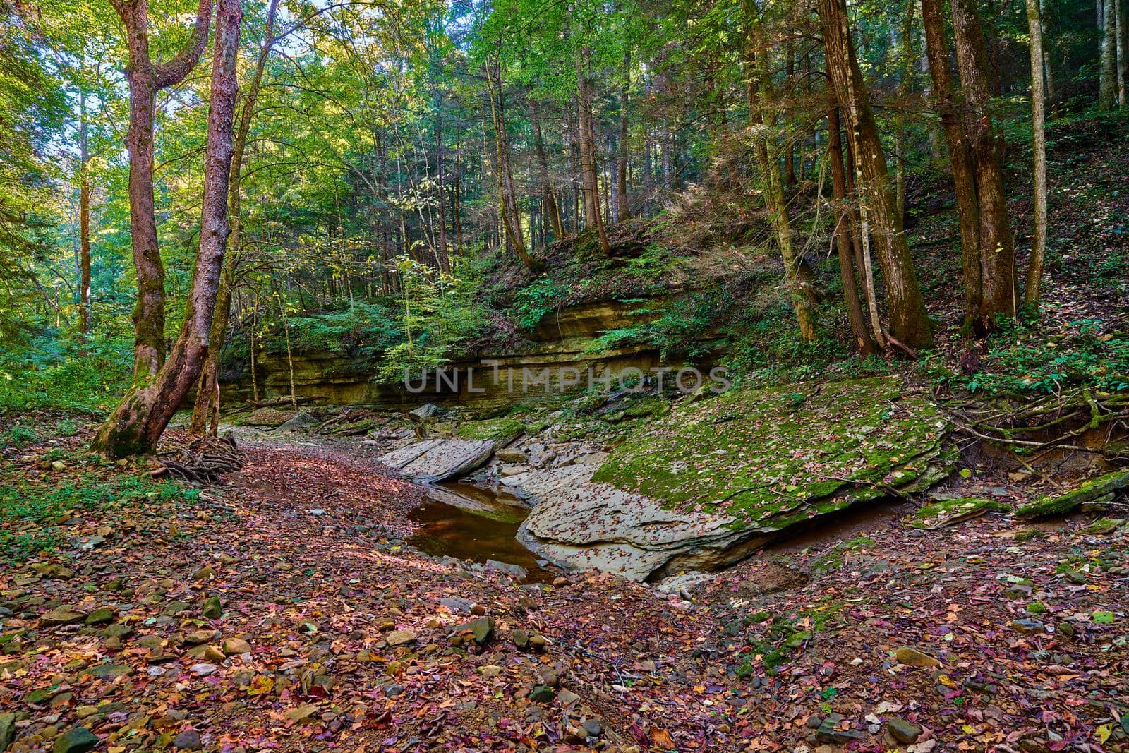 Rock shelf along War Fork Creek in Jackson County, KY. by patrickstock