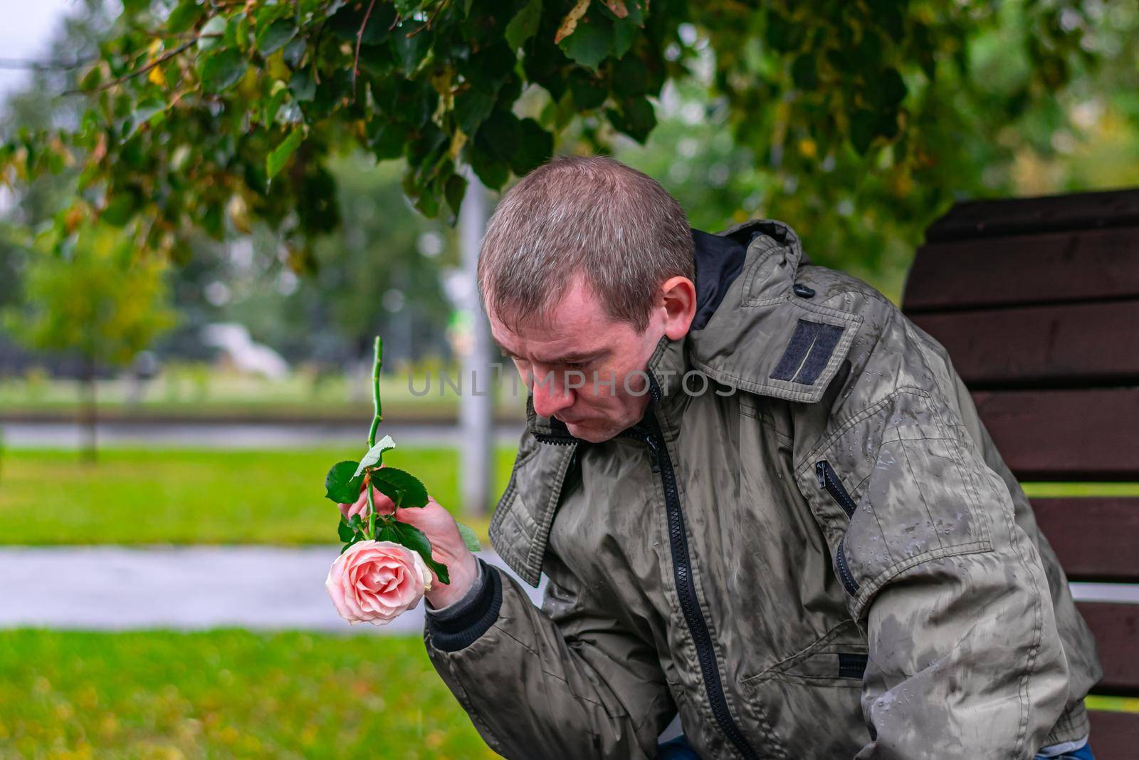 A man with a rose is sad in the park in the rain because his beloved girl did not come to the meeting