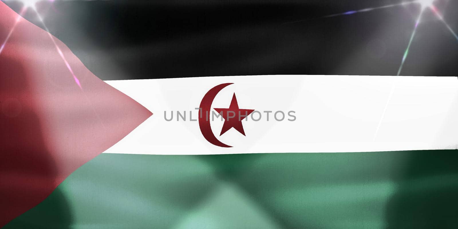 Western Sahara flag - realistic waving fabric flag