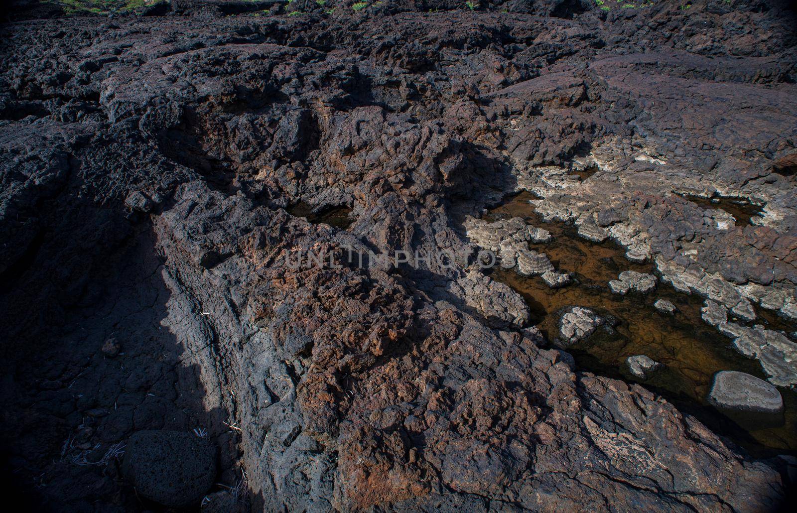 View of the lava rock, Linosa by bepsimage