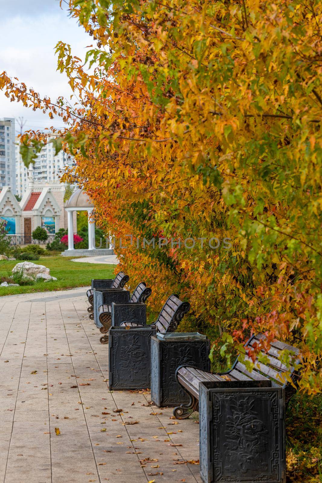 Autumn in a city park in Zelenograd, Moscow, Russia