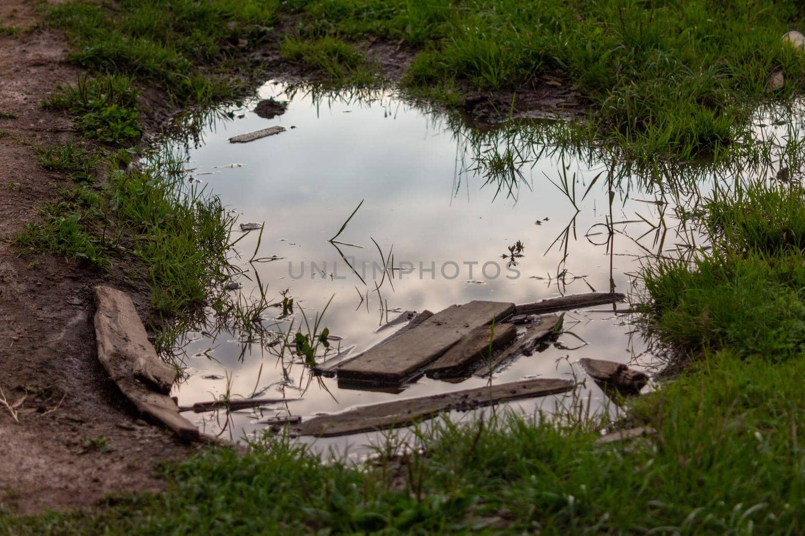 A puddle on a muddy road. old boards lie in the water. High quality photo