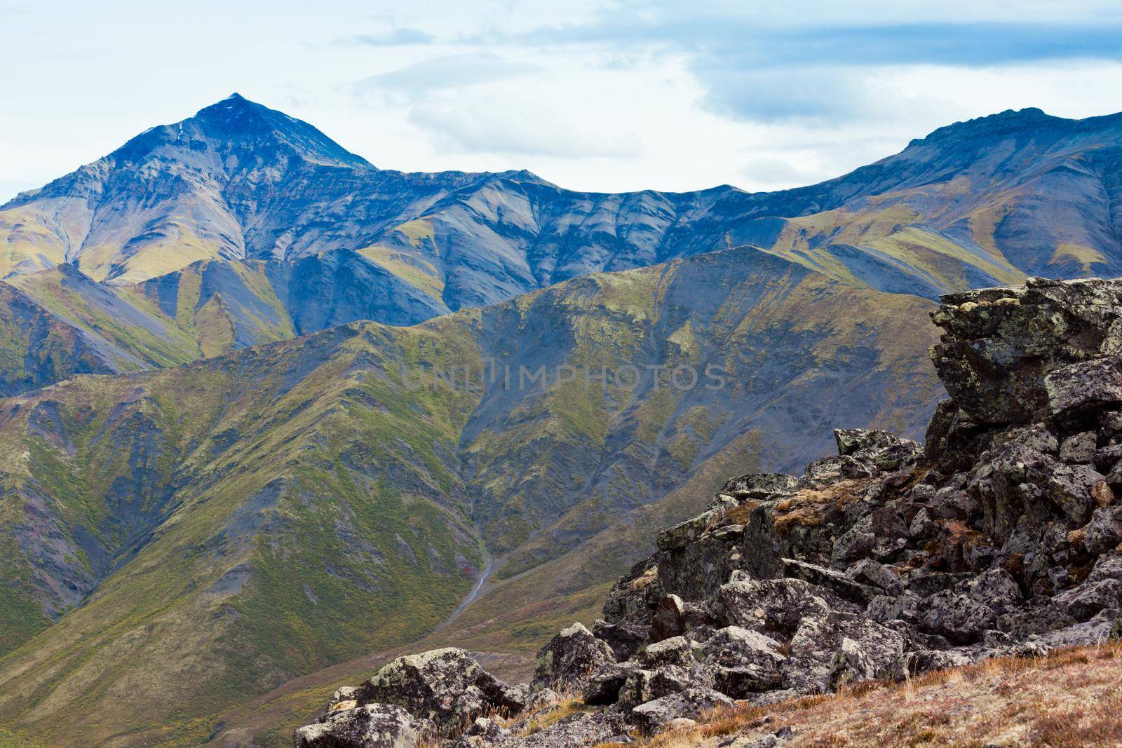 Alpine tundra habitat in high mountain range by PiLens