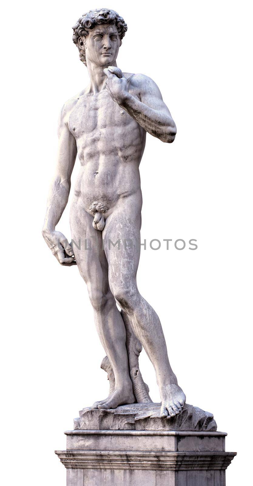 View of the David of Michelangelo isolated on transparent background