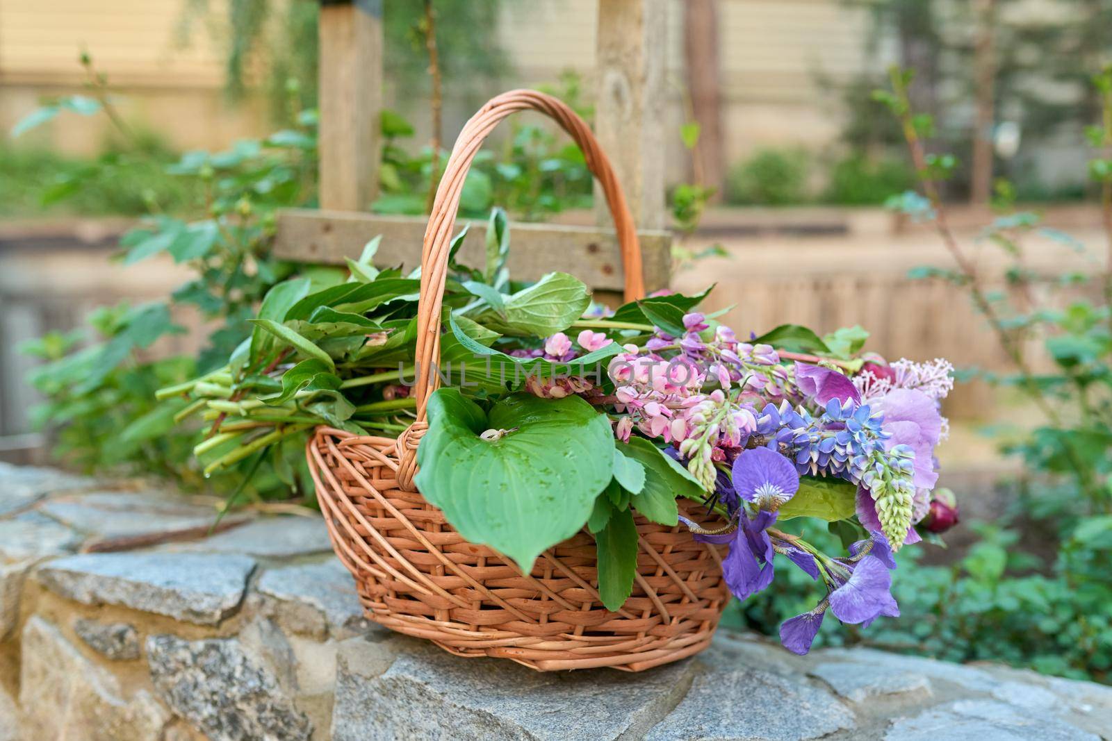 Basket with fresh spring cut flowers in the garden by VH-studio