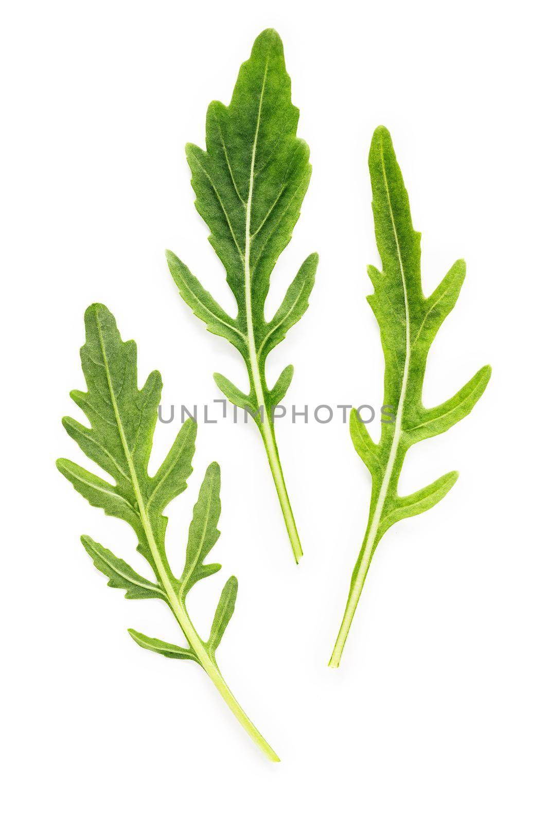 Arugula leaves isolated on white background. Closeup fresh wild rocket leaves on white background top view. by kerdkanno