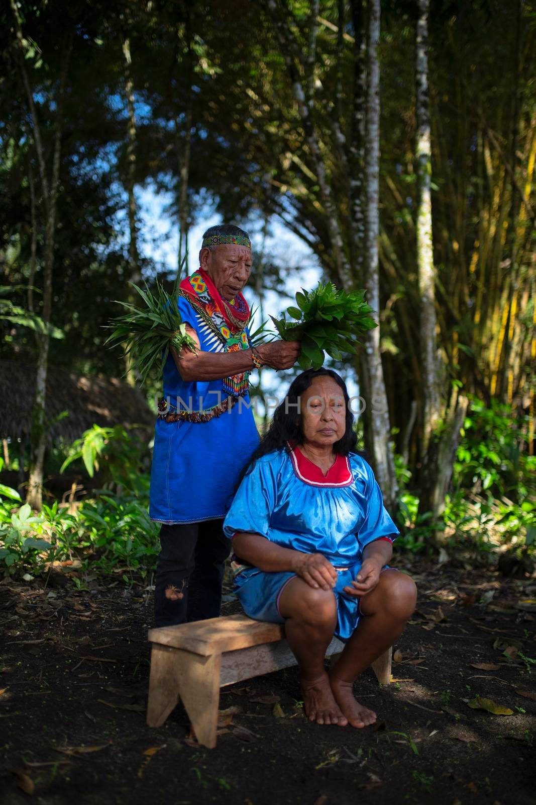 Nueva Loja, Sucumbios / Ecuador - September 2 2020: Elderly indigenous shaman of Cofan nationality performing healing ritual to a Cofan woman in the Amazon rainforest