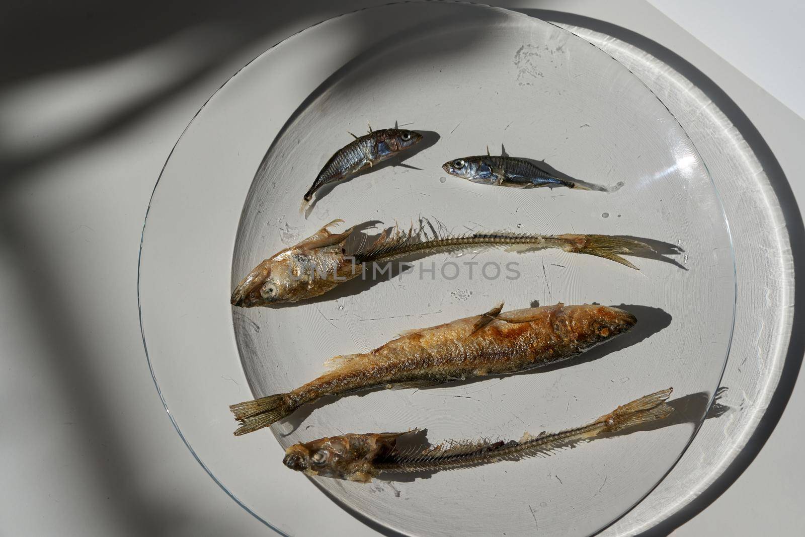 Whole fried fish smelt and fish bones on a plate. by vizland