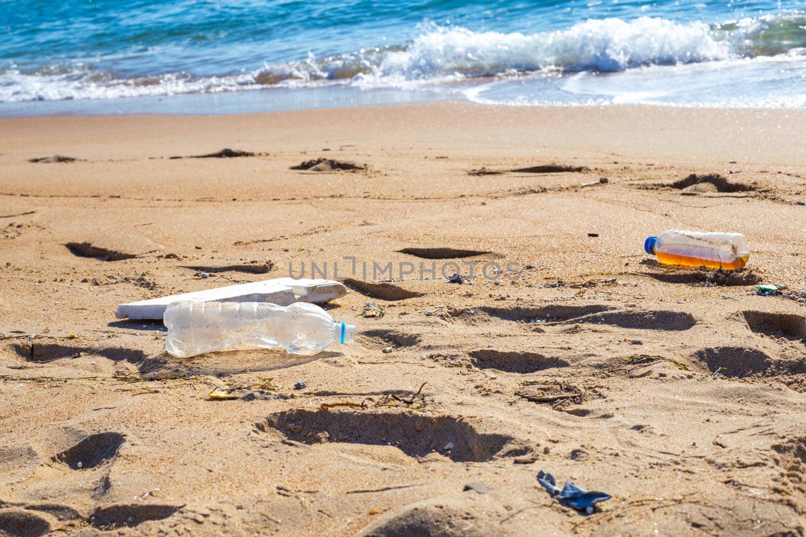 Garbage on the sandy seashore. The harm of plastic to the animal world.