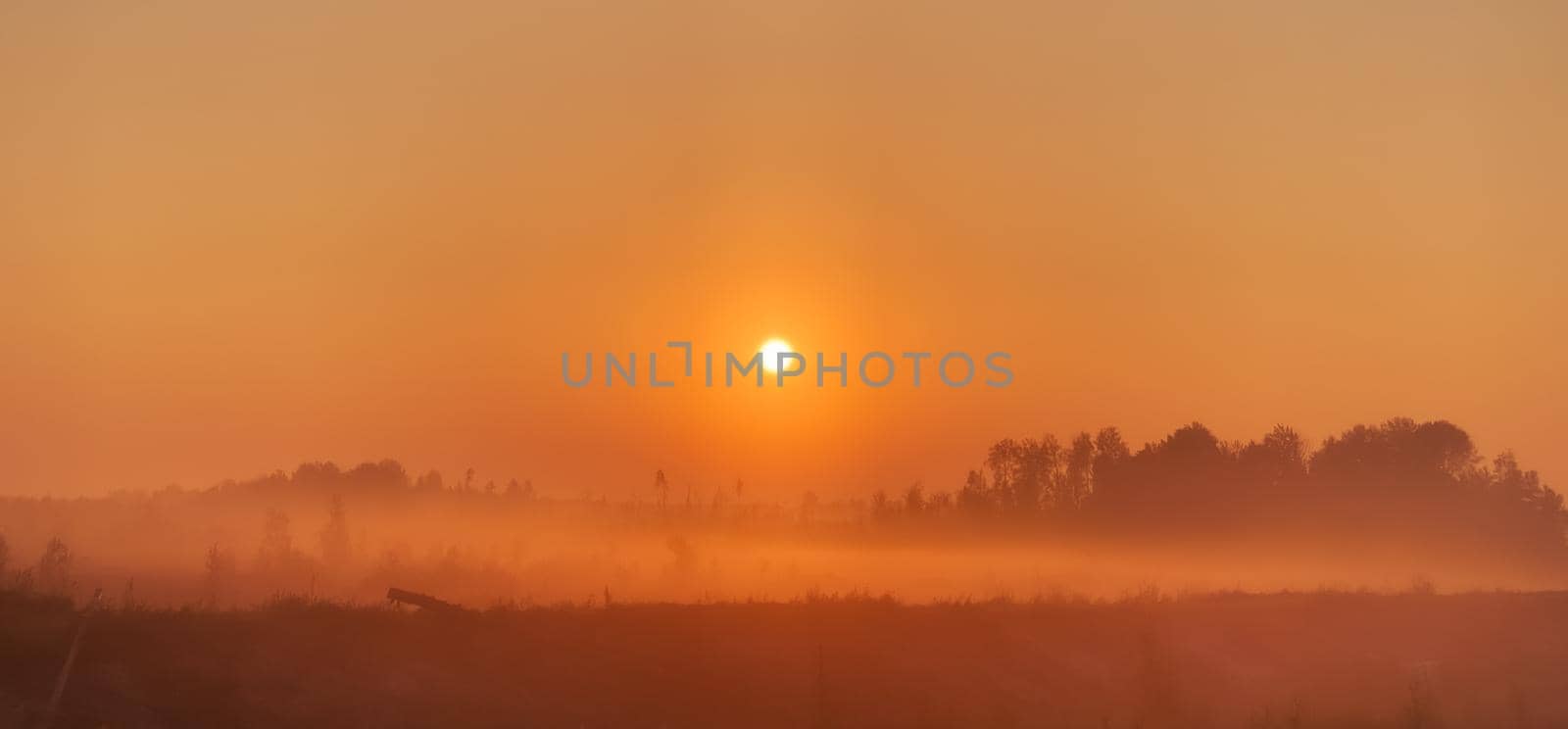 A bright sun rises in the fog over the tundra and forest. Landscape, panorama, blurred soft focus.