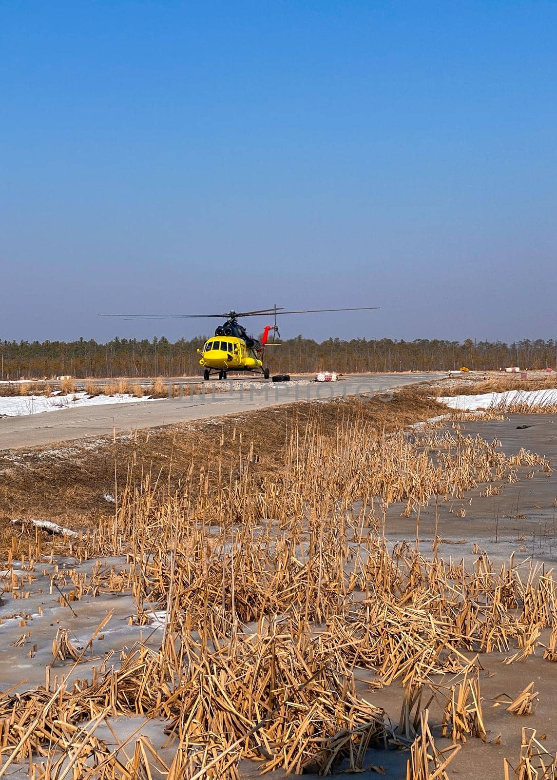 A yellow helicopter takes off from a platform in the remote northern area of the swampy forest-tundra.