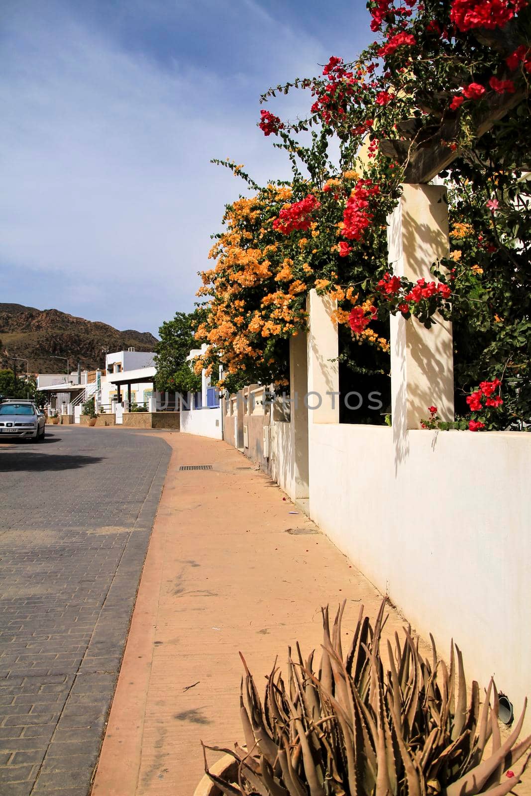 Rodalquilar, Almeria, Spain- September 7, 2021: Whitewashed houses with bougainvillea and cactus in Rodalquilar, Andalusia, Spain