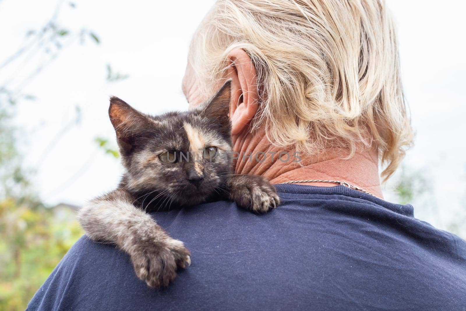 A small black kitten on a man's shoulder. Favorite pets by levnat09