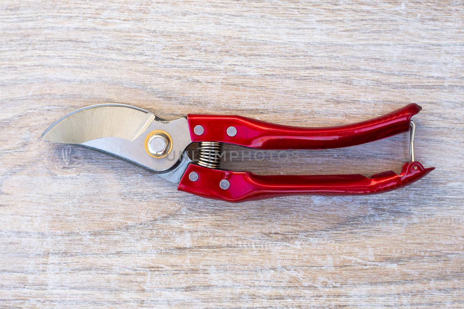 Garden shears pruner with red handles on a wooden background. Professional tool for plant care and pruning by levnat09