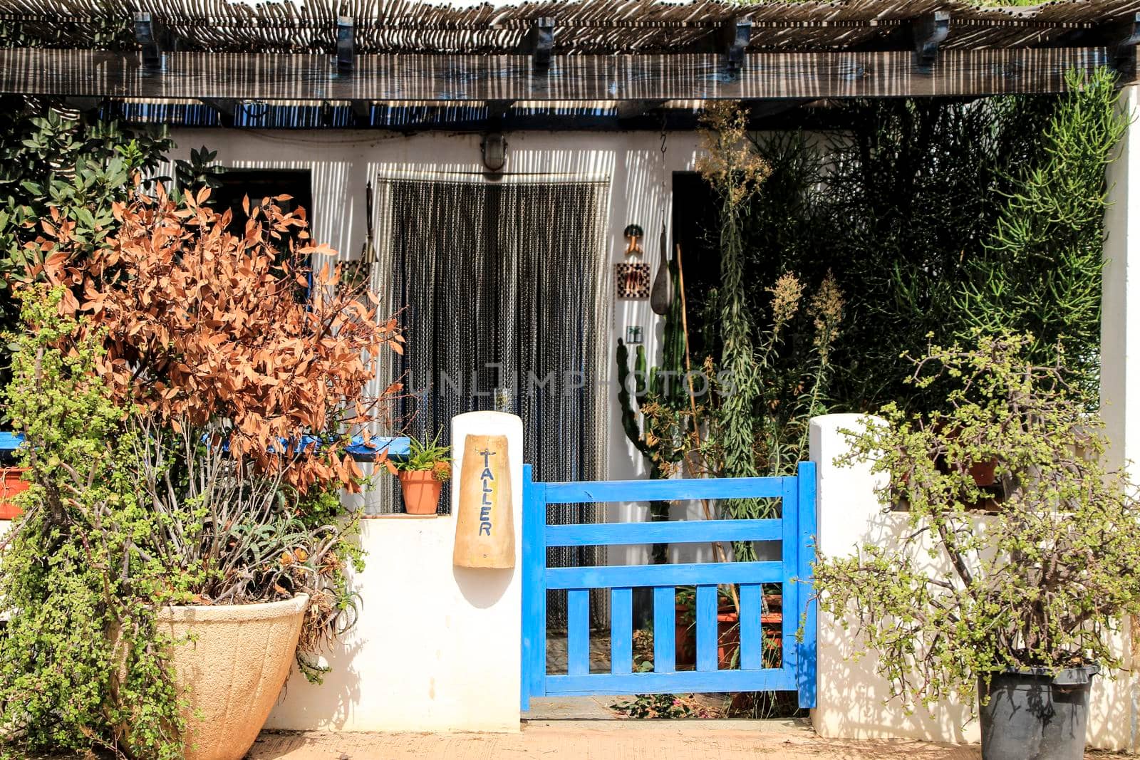 Rodalquilar, Almeria, Spain- September 7, 2021: Whitewashed houses with bougainvillea and cactus in Rodalquilar, Andalusia, Spain