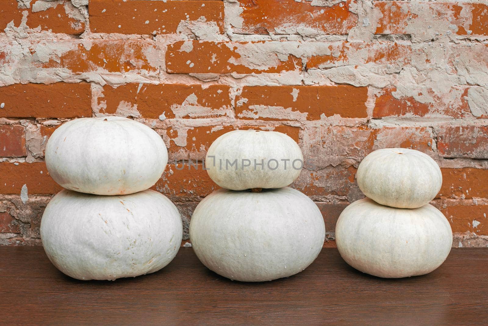Pumpkin harvest. White pumpkins stacked in a pyramid on a shelf near a brick wall by levnat09
